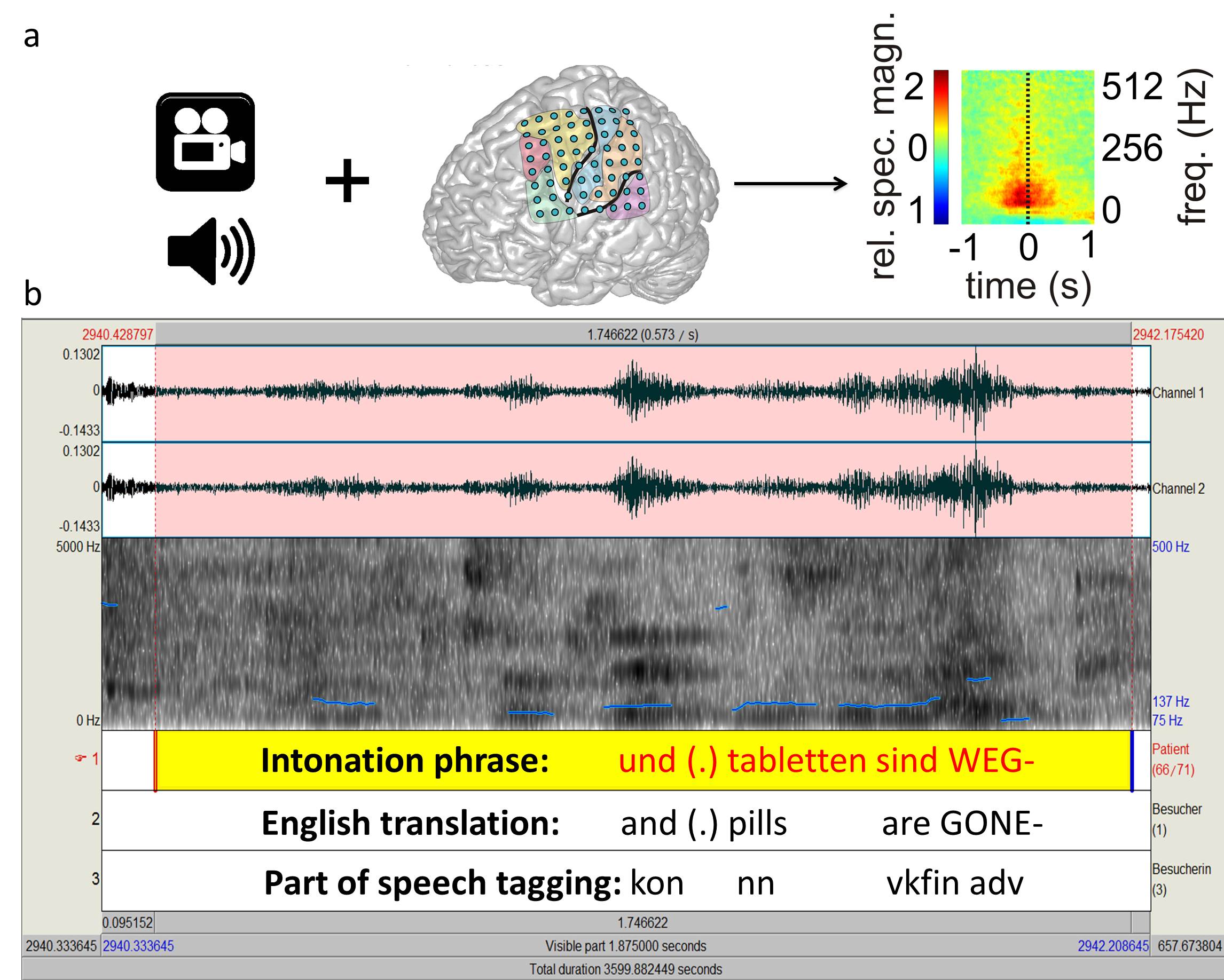 Multimodal_corpus