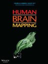 Article accepted for publication: Human Brain Mapping
